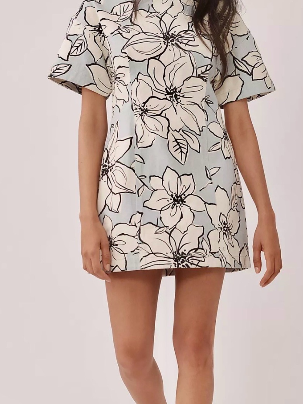 Anthropologie Floral Mini Dress in Light Blue and Cream